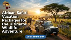 African Safari Vacation Packages for the Ultimate Wildlife Adventure