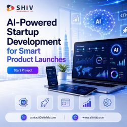 Expert Startup Development Services for Digital Products