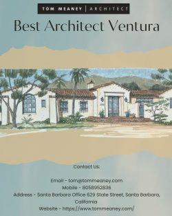 Best architect Ventura