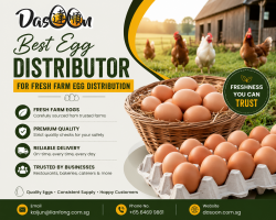 Best Egg Distributor for Fresh Farm Egg Distribution