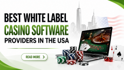 Top 10 White Label Casino Software Providers in the USA for 2026-2027
