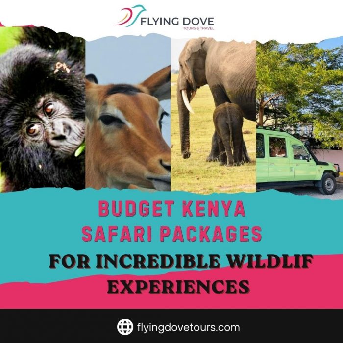 Budget Kenya Safari Packages for Incredible Wildlife Experiences