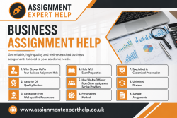 Best Business Assignment Help for Research-Based Projects