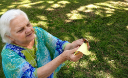 Guide: Butterfly Release for Memorial Service for Tribute Moments
