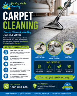 Affordable Carpet Cleaning Services for Homes & Offices