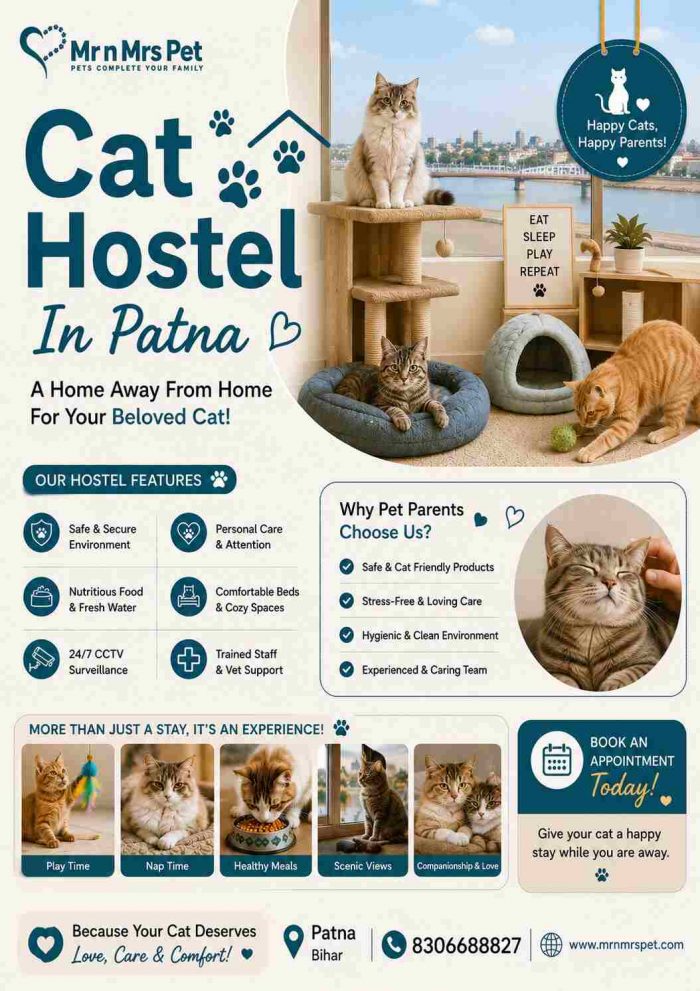 Cat Hostel In Patna