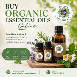 Shop Premium Organic Essential Oils Online Today