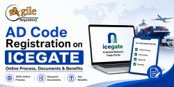 AD Code Registration on ICEGATE | Online Process, Documents & Benefits