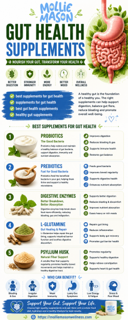Best Supplements For Gut Health And Digestive Care Now