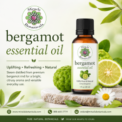 Refresh Your Senses with Bergamot Essential Oil