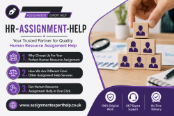 Quality HR Assignment Help from Subject Experts
