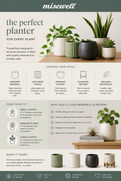 Chrome Planters and Minimalist Ceramic Pots for Modern Living