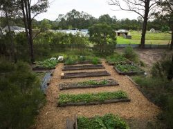 Buy Railway Sleepers: The Perfect Solution for Landscaping and Outdoor Projects