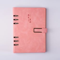 Password Lock Notebook: Private Writing for Travelers and Journal Keepers