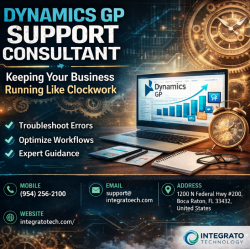 Dynamics GP Support Consultant