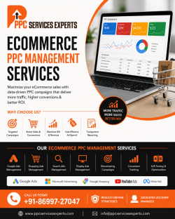 Professional PPC Solutions for Online Stores