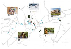 Why Gippsland Is Emerging as a Prime Destination for Property Buyers and Investors