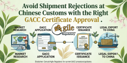 Avoid Shipment Rejections at Chinese Customs with the Right GACC Certificate Approval