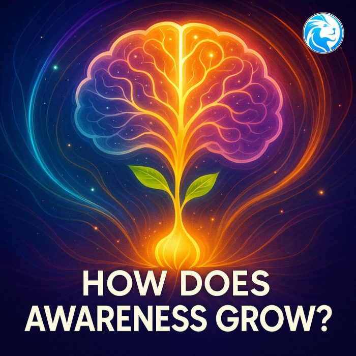 How Does Awareness Grow? Insights for Personal Growth