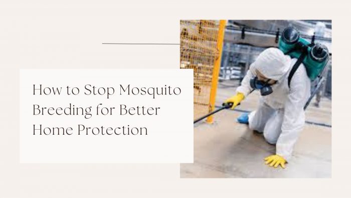 How to Stop Mosquito Breeding for Better Home Protection