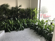 Event Plant Hire – Stylish Greenery for Corporate & Private Events