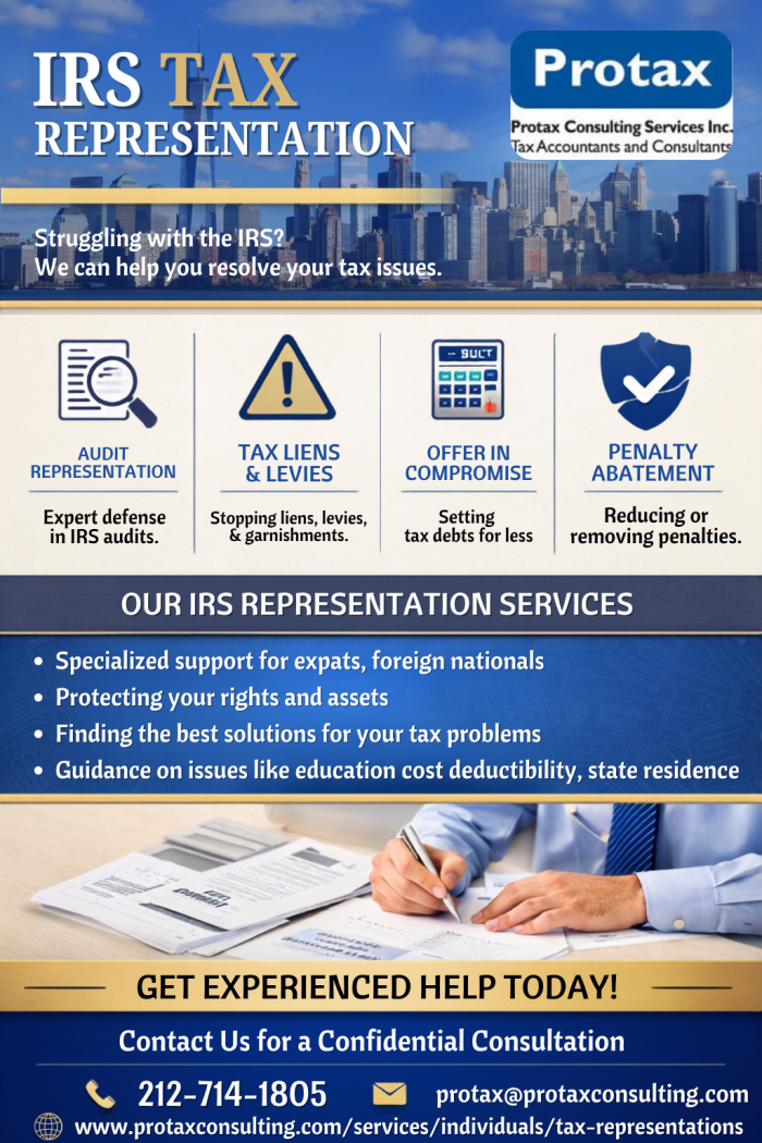 Expert IRS Tax Representation Services