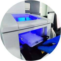 Antimicrobial Peptide Screening Service