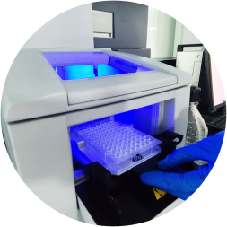 Cardiovascular Peptide Drug Discovery