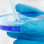 Peptide ADME Optimization Service