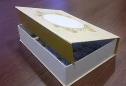 Hot Melt Adhesive for Packaging