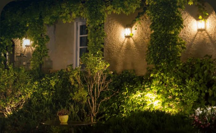 Landscape Lighting Houston TX – Noack Maintenance & Landscaping