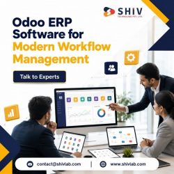 Odoo ERP Customization Services for Business Workflows