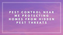 Pest Control Near Me Protecting Homes From Hidden Pest Threats