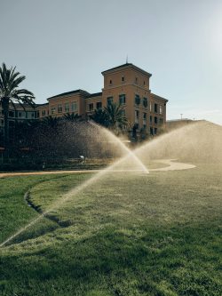 Sprinkler Repair Dallas to Save Water and Money