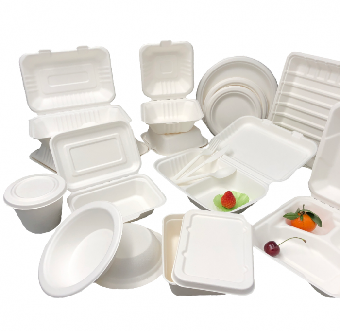 Disposable Bagasse Food Packaging Container