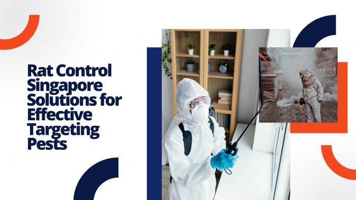 Rat Control Singapore Solutions for Effective Targeting Pests