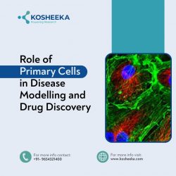 Role of Primary Cells in Disease Modelling and Drug Discovery