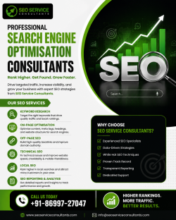 Professional Search Engine Optimisation Consultants for Higher Rankings