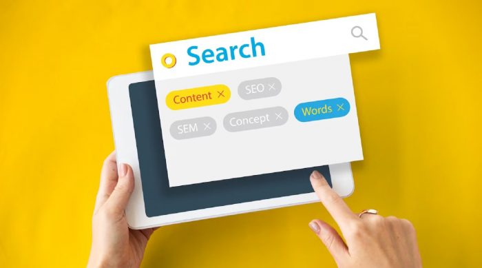 SEO Services Echuca Moama: Helping Local Businesses Grow Online
