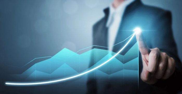 The Growth Ceiling Created by Founder Dependency