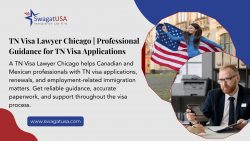 TN Visa Lawyer Chicago | Professional Guidance for TN Visa Applications