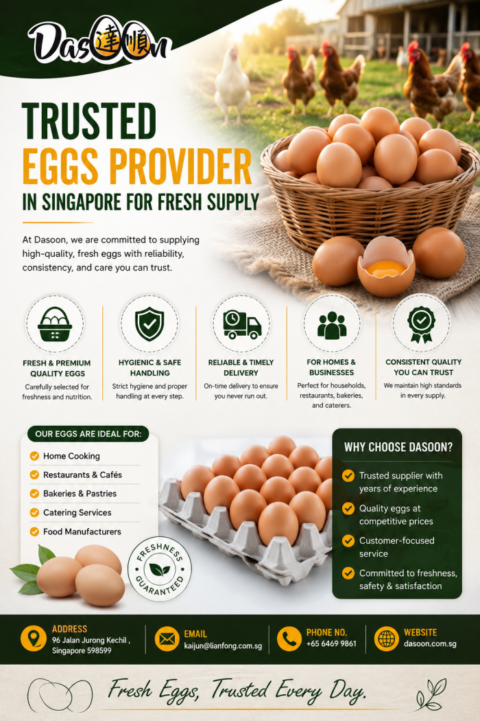 Trusted Eggs Provider in Singapore for Fresh Supply
