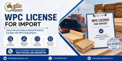 WPC License for Import Approval Process in India Explained