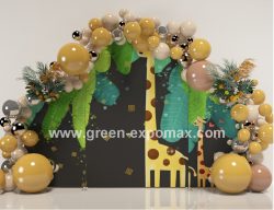 Children Birthday Party display backdrop﻿