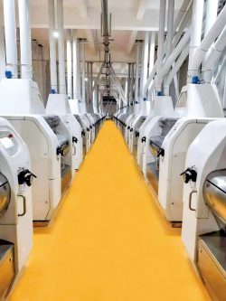300-500TPD Wheat Flour Mill Plant