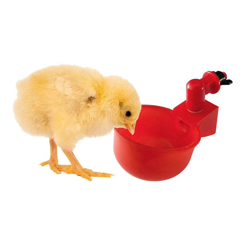 Chicken automatic drinking bowl