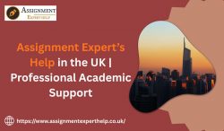 Childcare Assignment Help – Expert Guidance for Outstanding Academic Performance