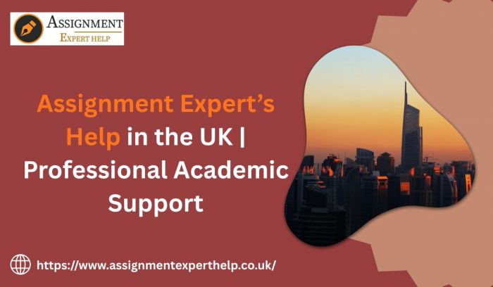 Childcare Assignment Help – Expert Guidance for Outstanding Academic Performance