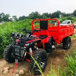 What Makes Chinese ATV Prices So Competitive?
