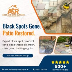 Professional Block Paving Cleaning Services